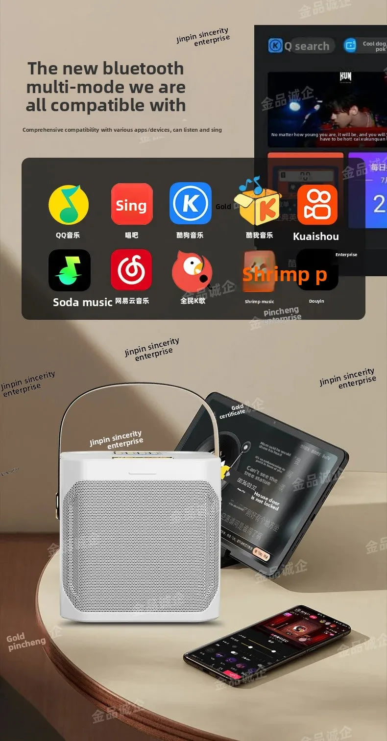 Cross-Border Karaoké Bluetooth with 2 Mic's
