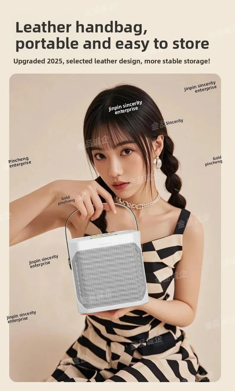 Cross-Border Karaoké Bluetooth with 2 Mic's