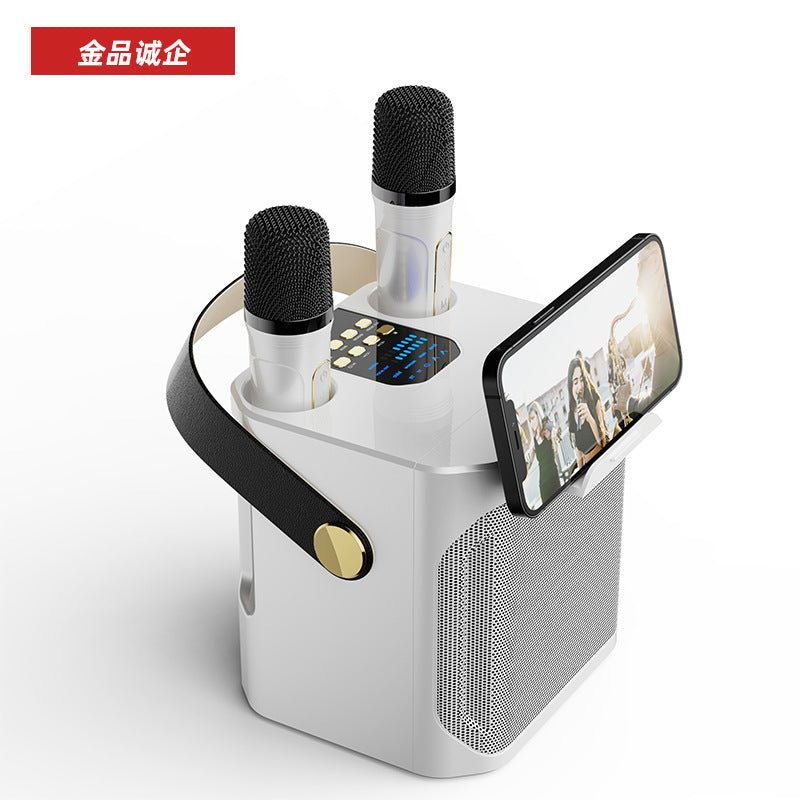 Cross-Border Karaoké Bluetooth with 2 Mic's