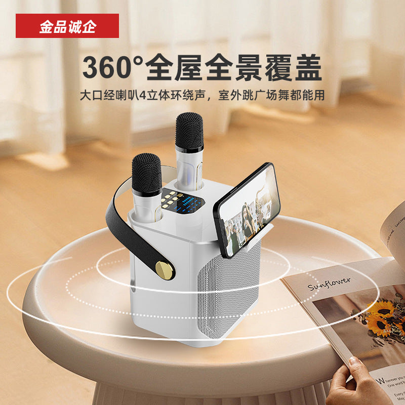 Cross-Border Karaoké Bluetooth with 2 Mic's