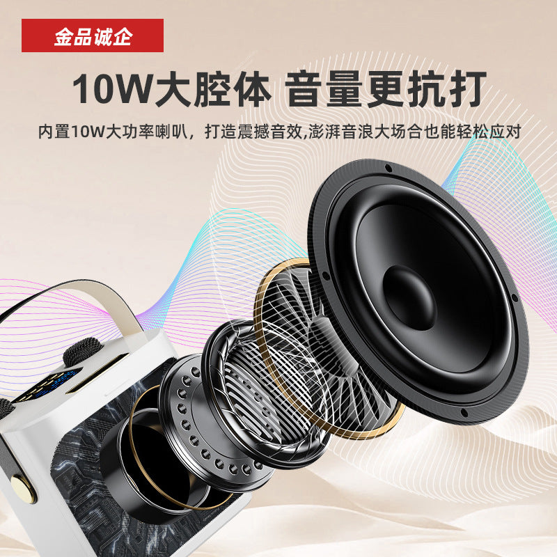Cross-Border Karaoké Bluetooth with 2 Mic's