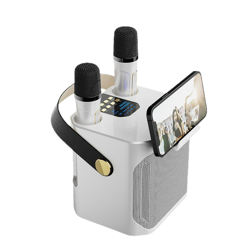 Cross-Border Karaoké Bluetooth with 2 Mic's