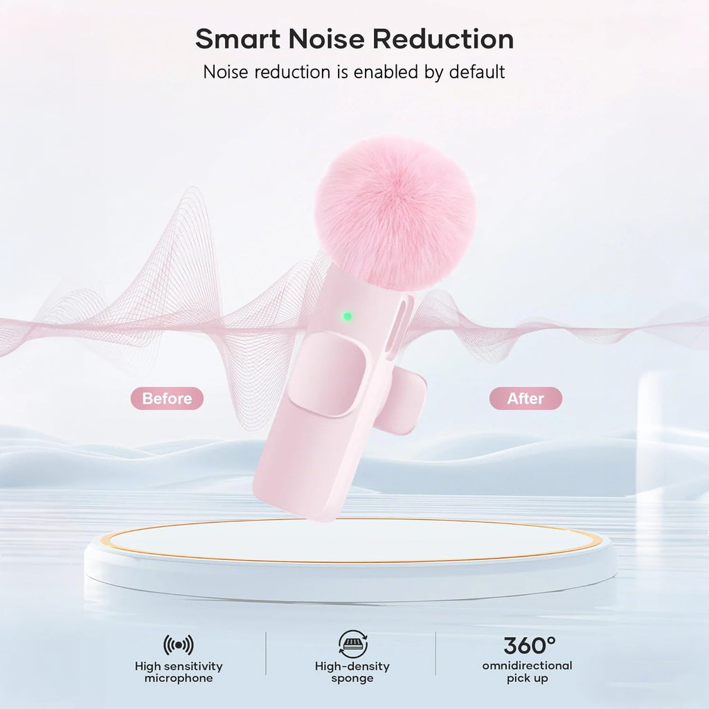 Type-C Port Professional Wireless Microphone
